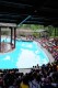 Thumbs/tn_photo981111 (167).jpg